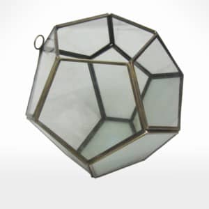 Terrarium by Noah's Ark Exports