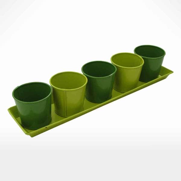 5 Planter with Tray by Noah's Ark Exports