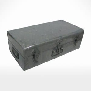 Trunk by Noah's Ark Exports