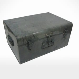 Trunk by Noah's Ark Exports