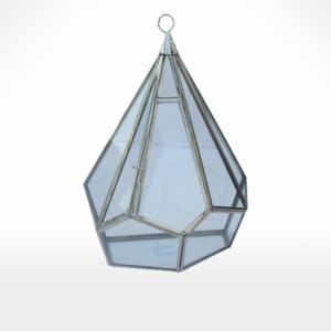 Terrarium by Noah's Ark Exports